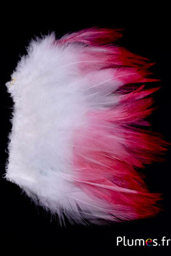 Frange coq - long. plumes 10-15 cm - blanc-rose-flamant
